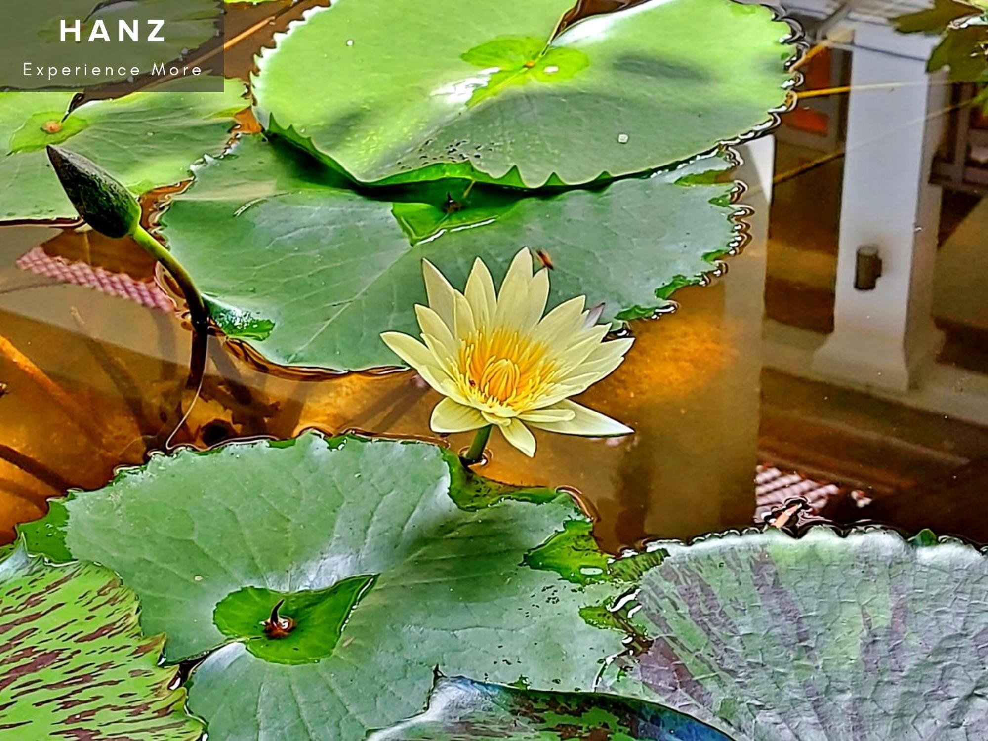 Sunrise Luang Prabang Hotel Exterior foto