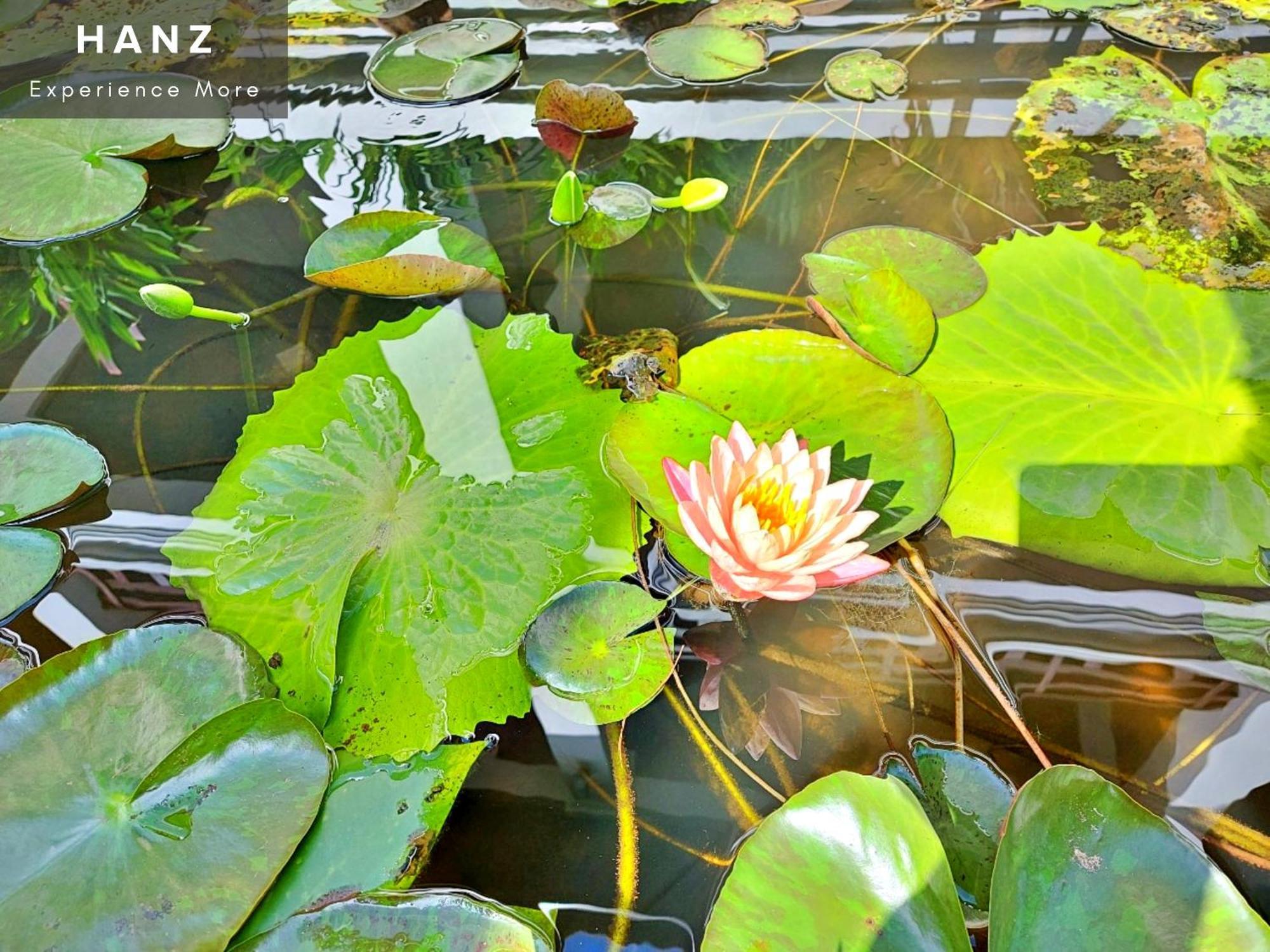 Sunrise Luang Prabang Hotel Exterior foto